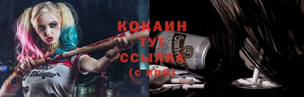 шишки Заводоуковск