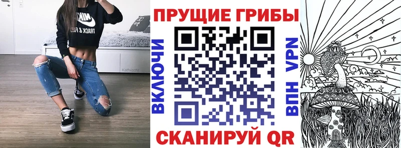как найти закладки  Спасск-Дальний  Галлюциногенные грибы Psilocybine cubensis 