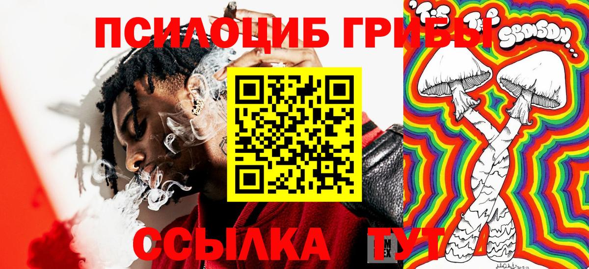 Галлюциногенные грибы прущие грибы  Вход с VPN  Спасск-Дальний 